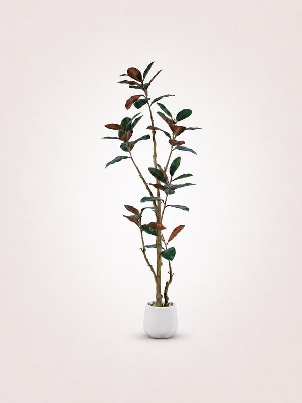 Rubber Tree Glossy Faux Tree