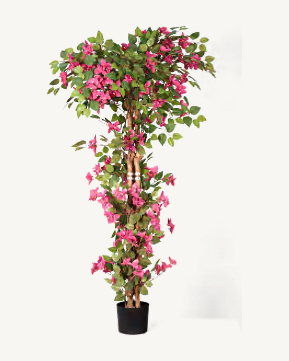 Salina Artificial Bougainvillea Tree, full product studio view in the included nursery pot
