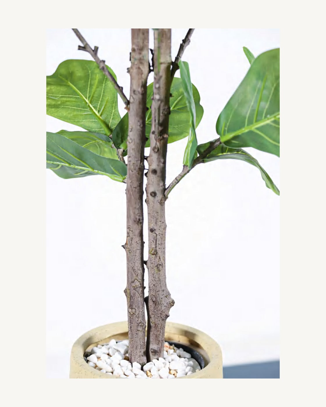 Salina Artificial Fiddle Leaf Fig Tree, full product studio view in the included nursery pot