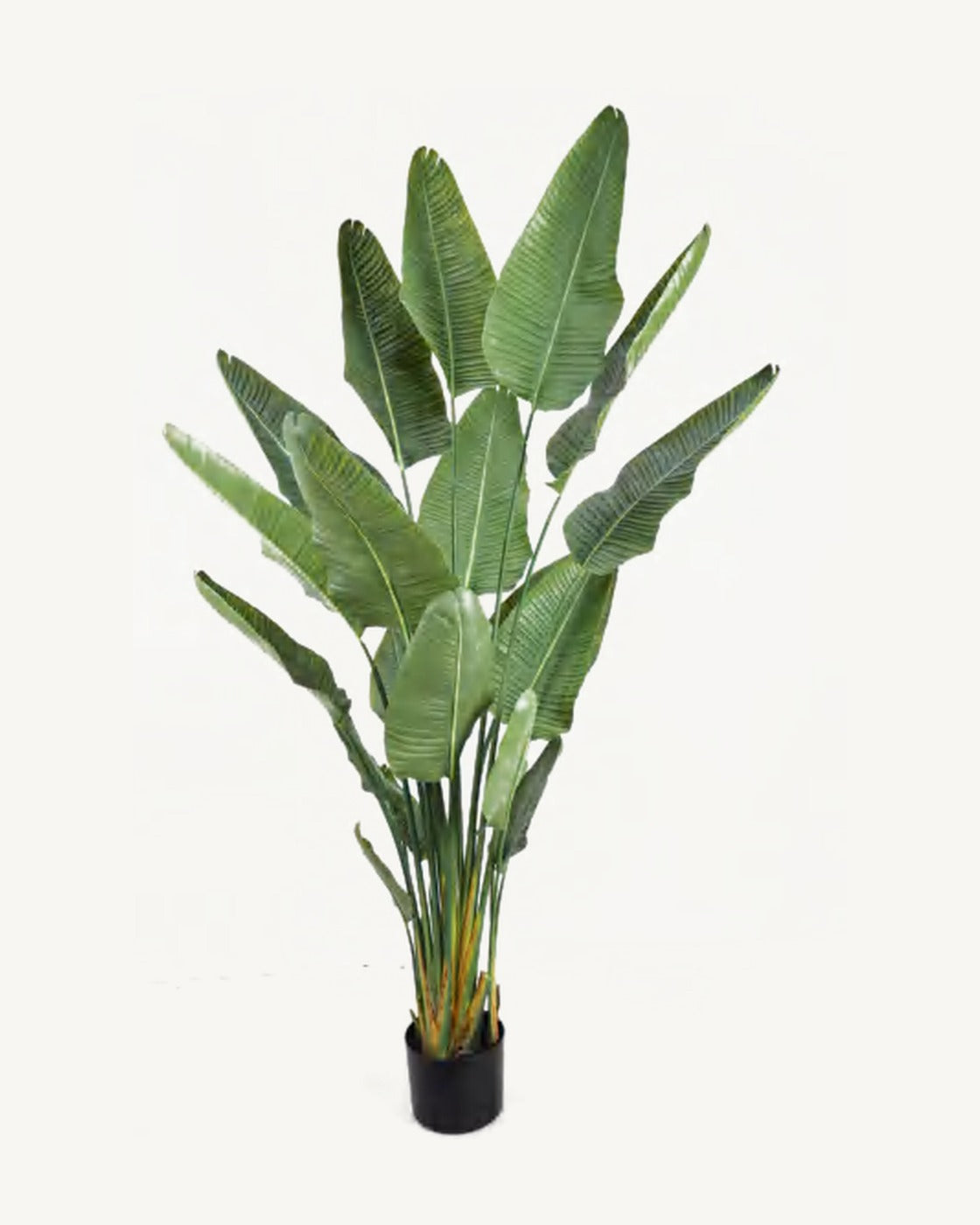 Salina Artificial Traveler's Palm, 86.6 in, full product studio view in the included nursery pot