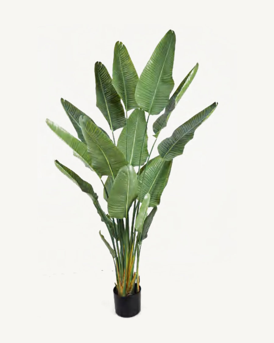 Salina Artificial Traveler's Palm