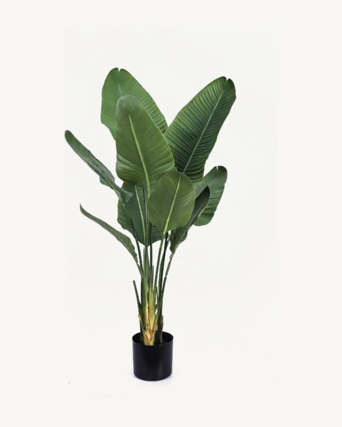 Salina Artificial Traveler's Palm, 47.2 in, full product studio view in the included nursery pot