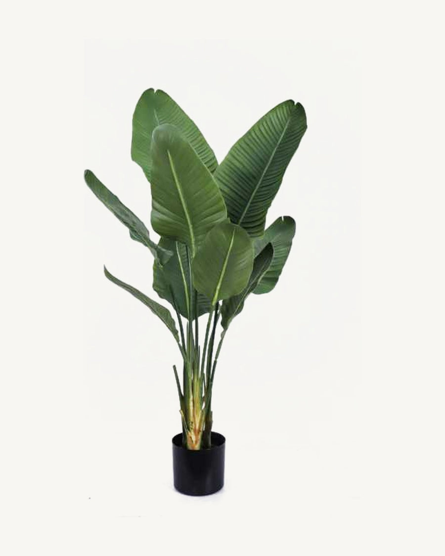Salina Artificial Traveler's Palm