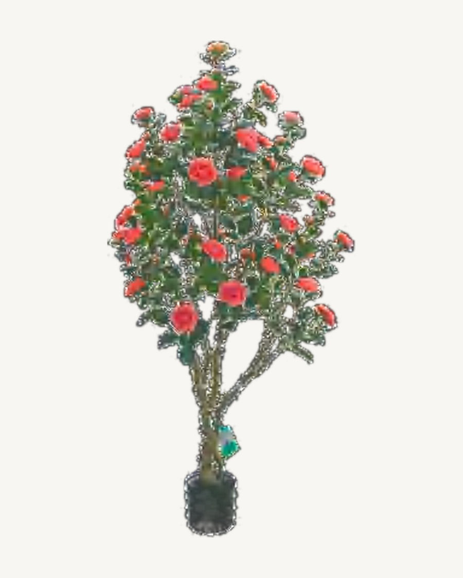 Sanremo Artificial Blossom Tree