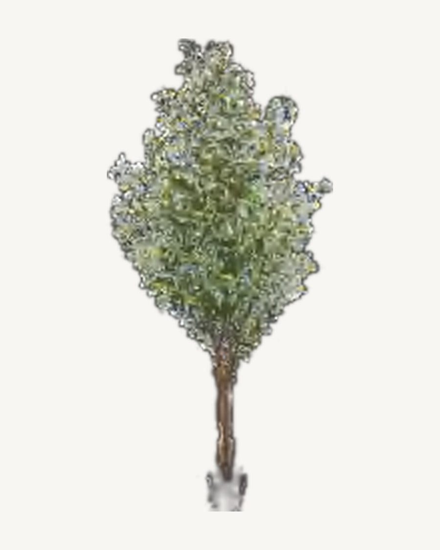Sanremo Artificial Olive Tree, 86.6 in