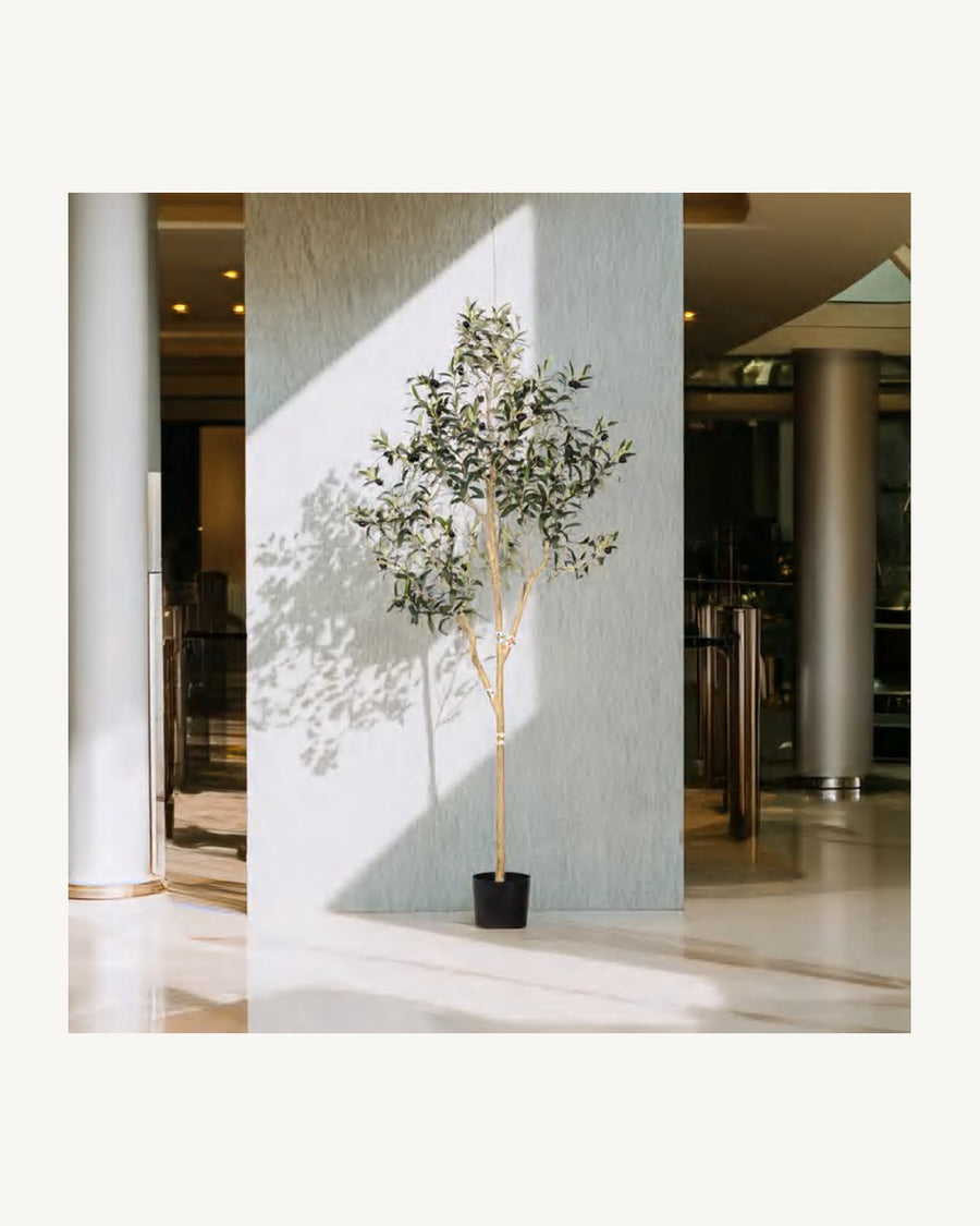 Segovia Artificial Olive Tree, 70.8 in