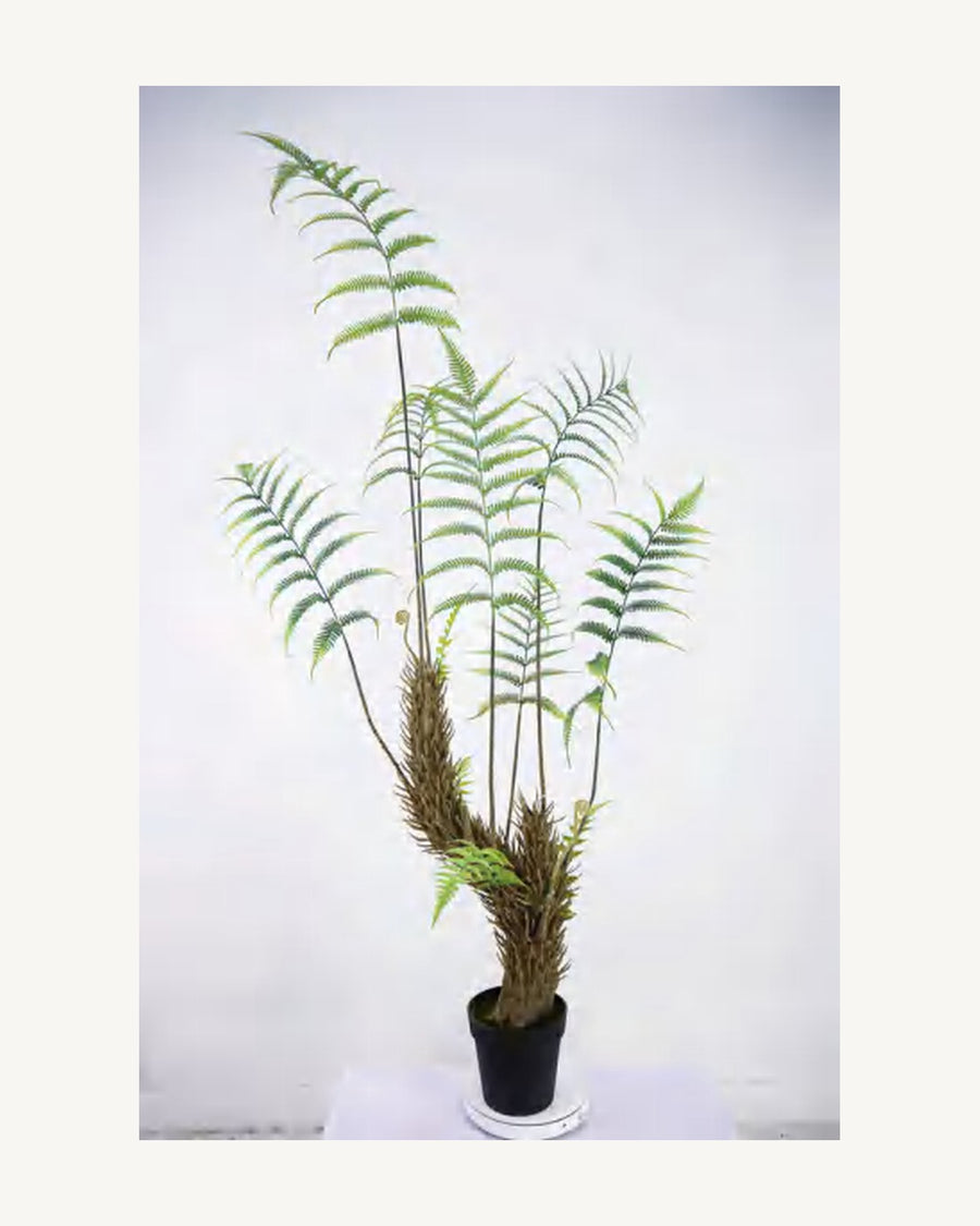 Sienna Artificial Boston Fern, 66.9 in