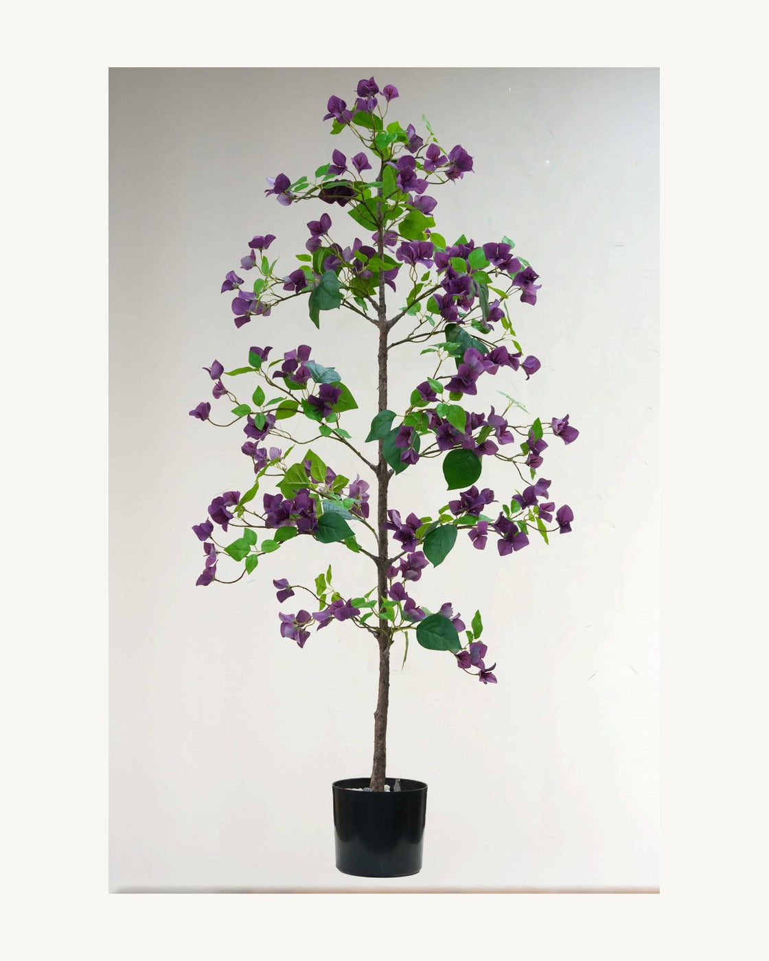 Sienna Artificial Bougainvillea Tree, full product studio view in the included nursery pot