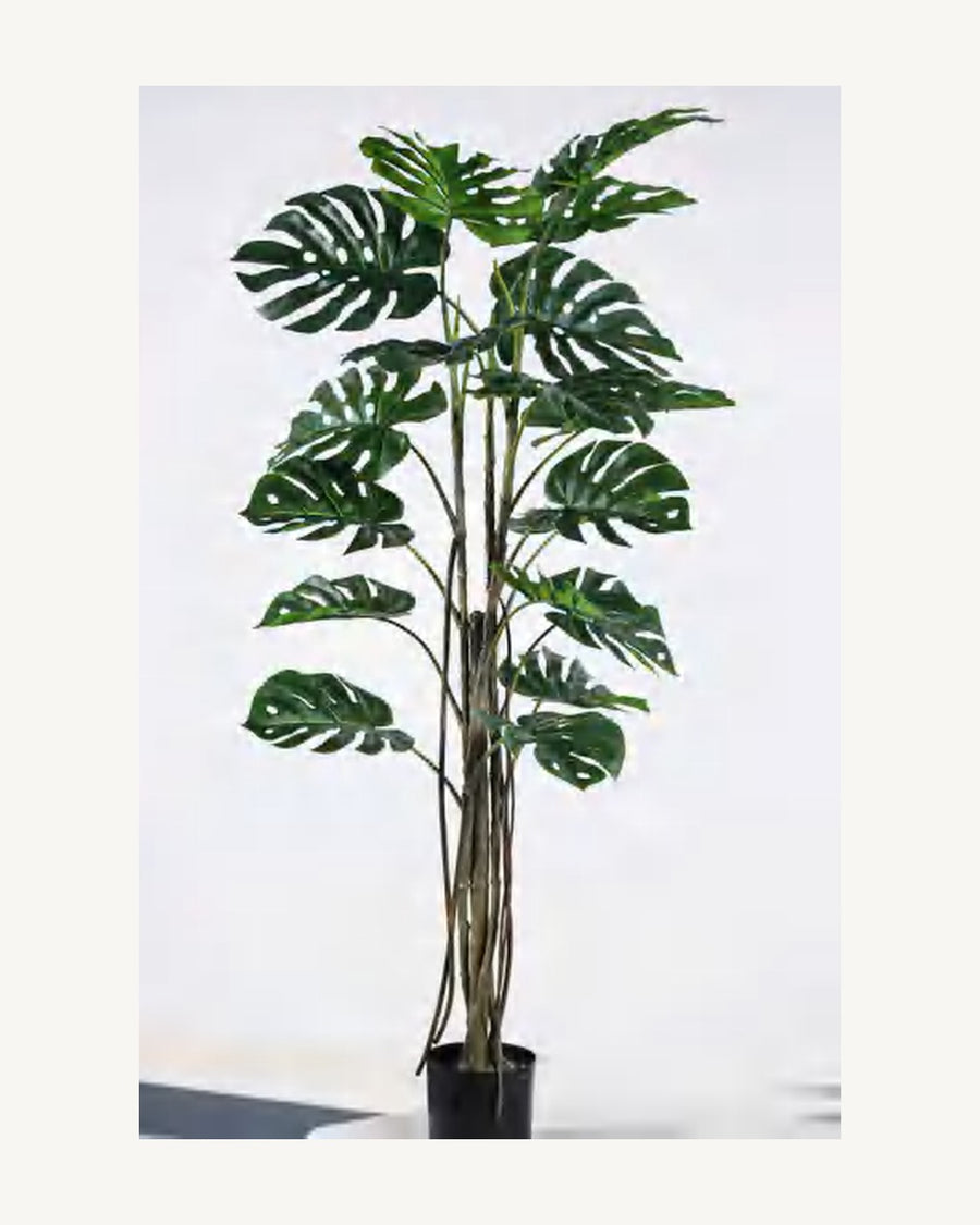 Sienna Artificial Monstera Plant, 62.9 in