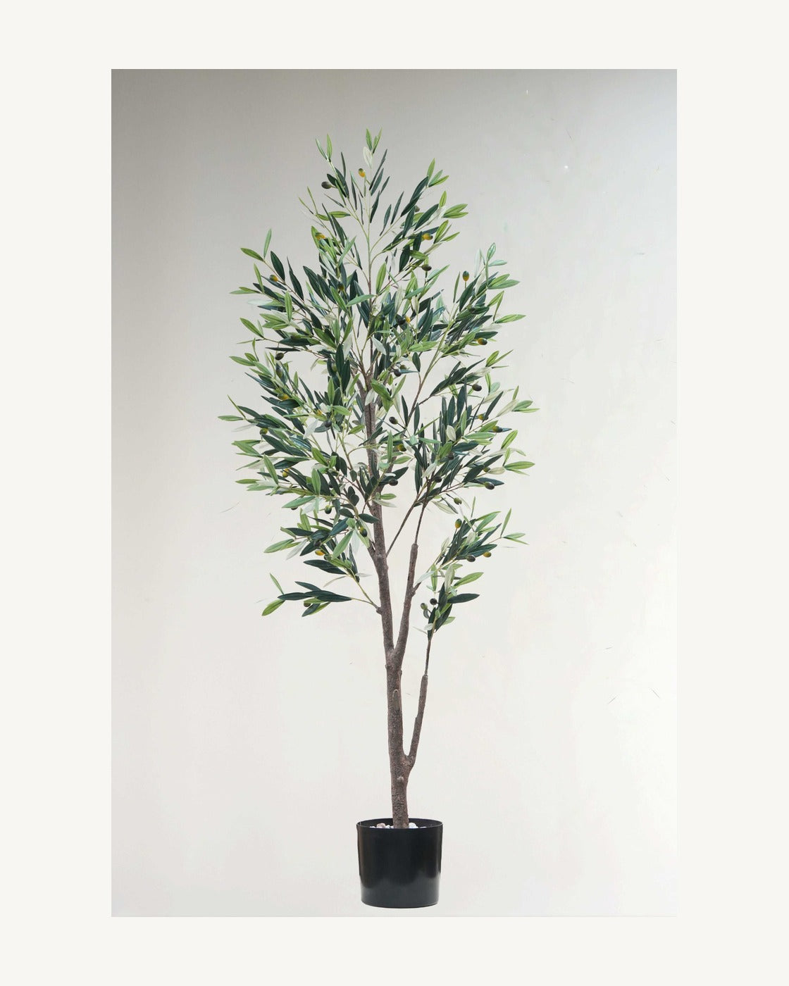 Sienna Artificial Olive Tree, full product studio view in the included nursery pot