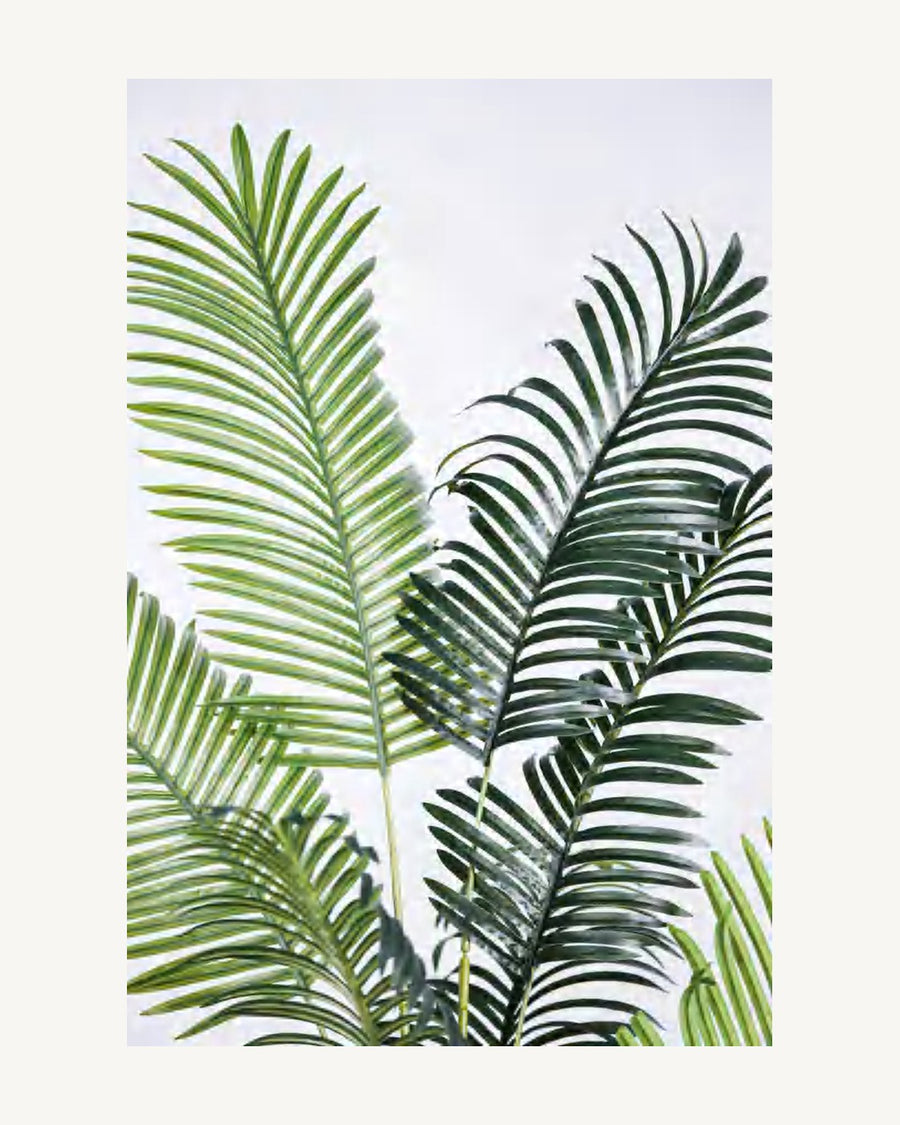 Sorrento Artificial Areca Palm, 70.9 in