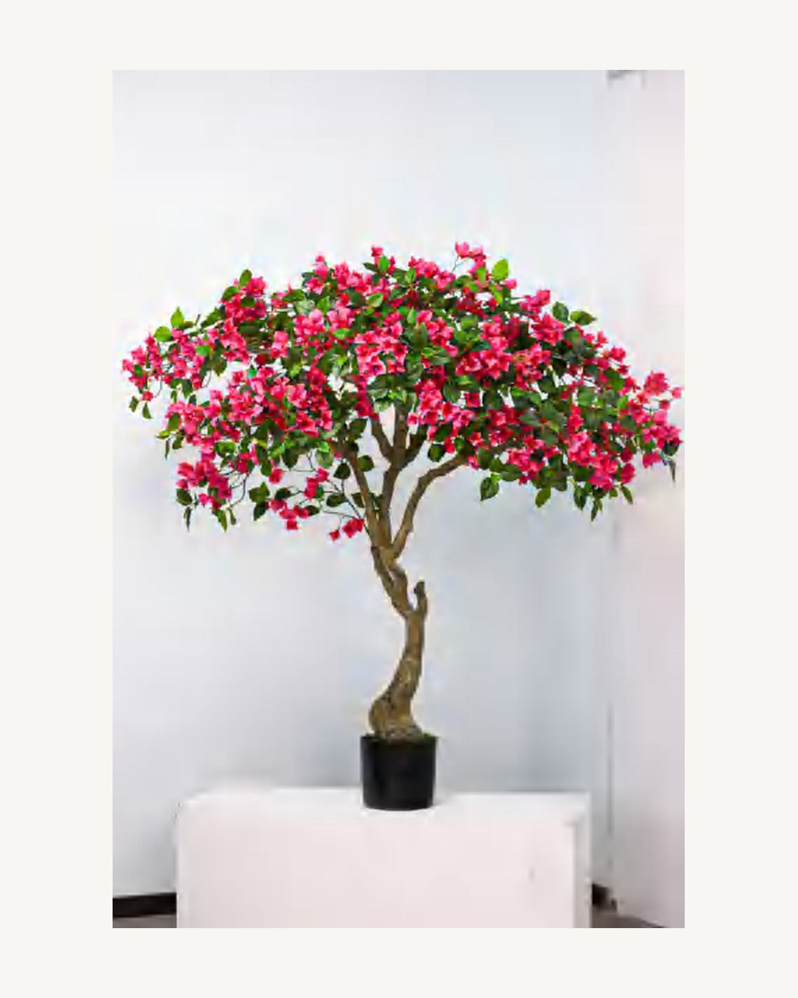 Sorrento Artificial Bougainvillea Tree, full product studio view in the included nursery pot
