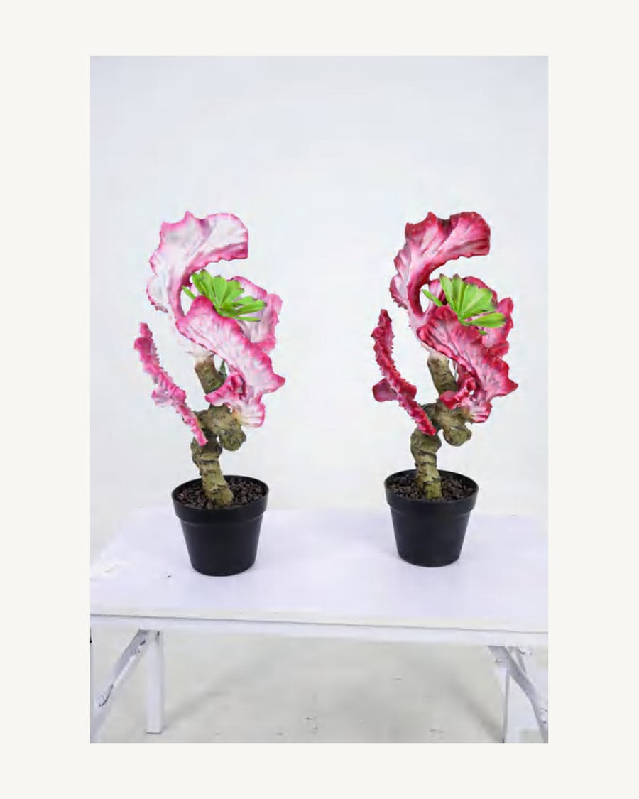 Sorrento Artificial Coral Cactus, 22.8 in