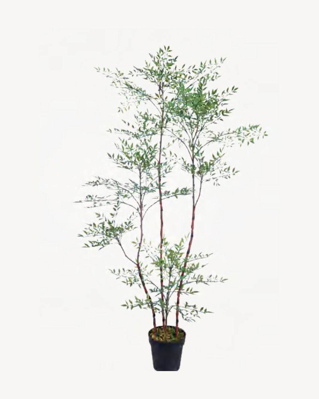 Sorrento Artificial Nandina Tree, full product studio view in the included nursery pot