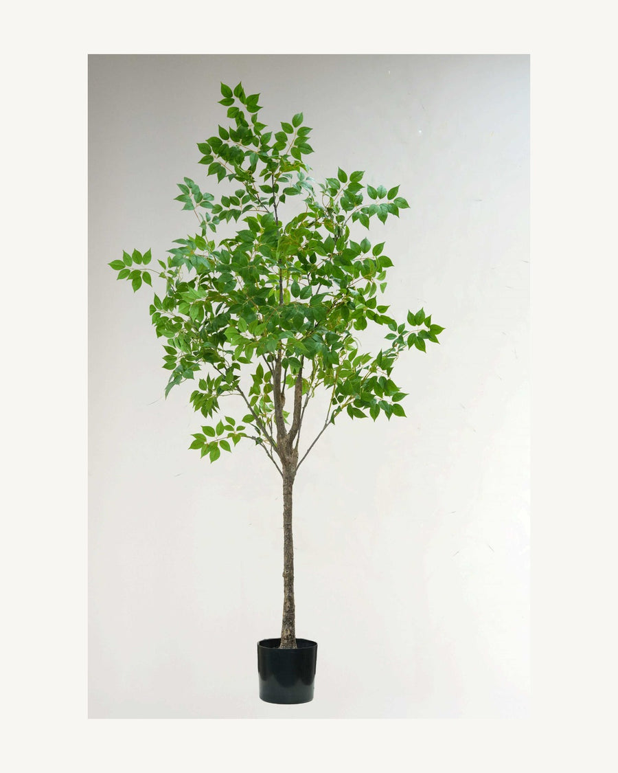 Spoleto Artificial Decorative Tree, 74.8 in