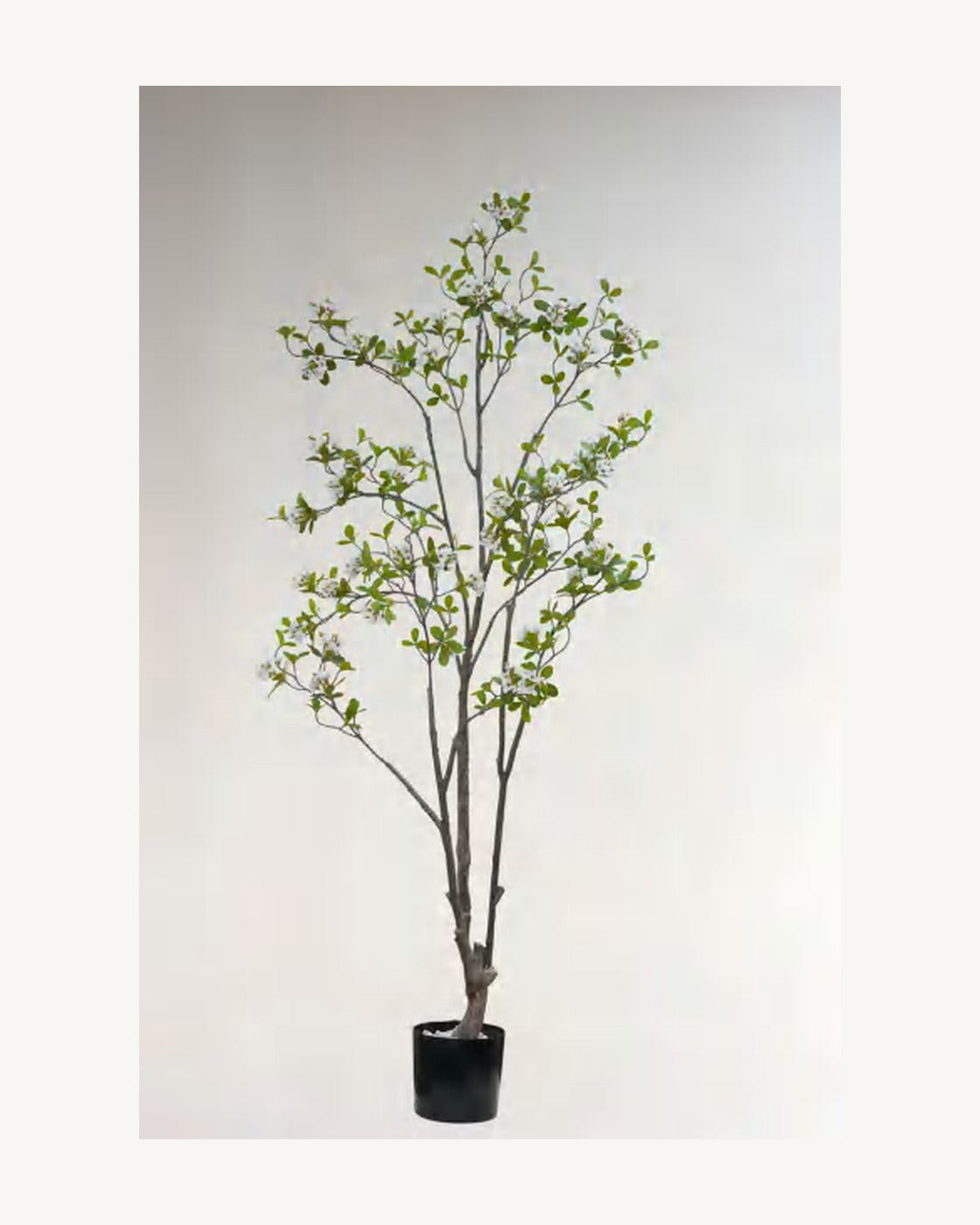 Taormina Artificial Blossom Tree, full product studio view in the included nursery pot