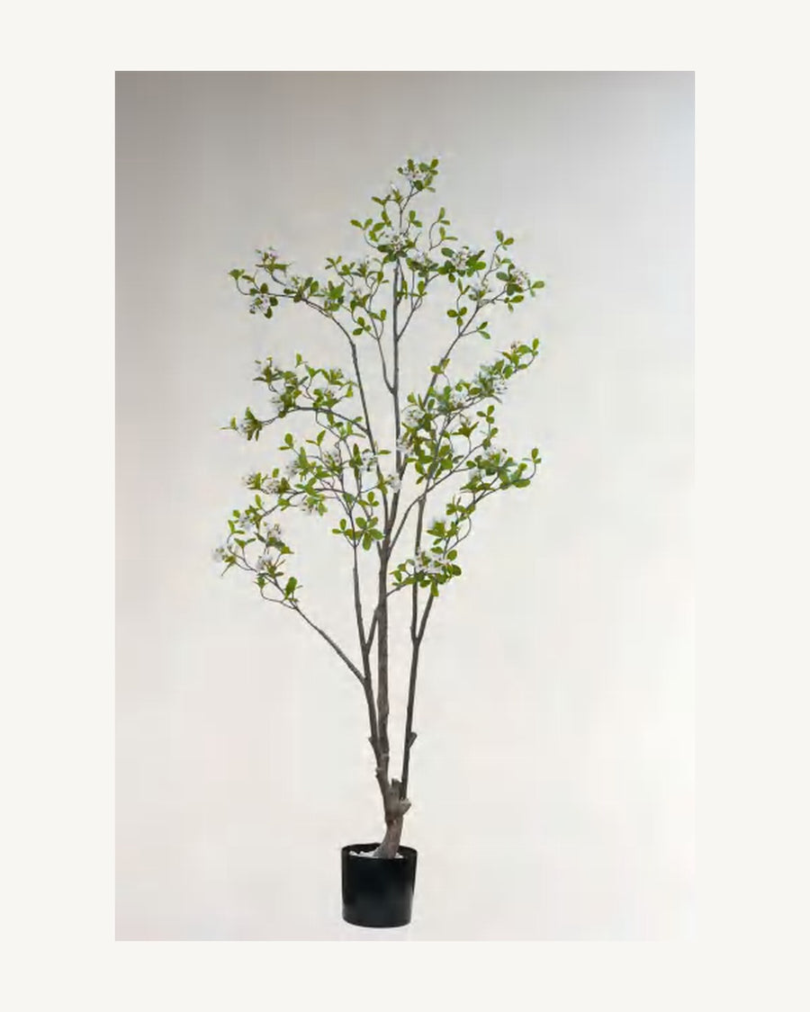 Taormina Artificial Blossom Tree, 76.7 in