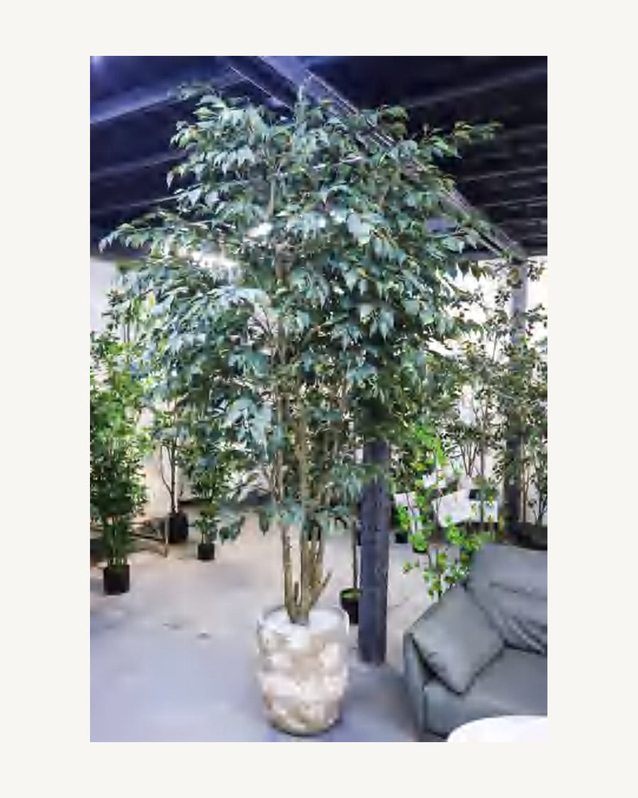 Taormina Artificial Ficus Tree, 98.4 in