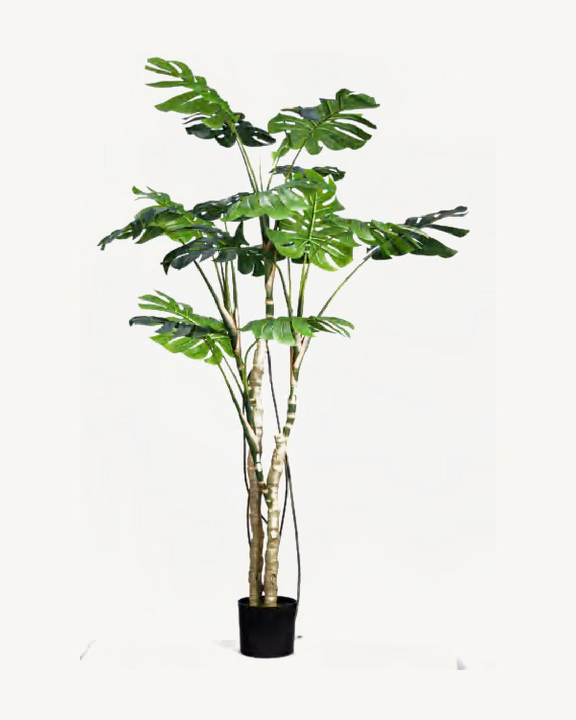 Taormina Artificial Monstera Plant, full product studio view in the included nursery pot