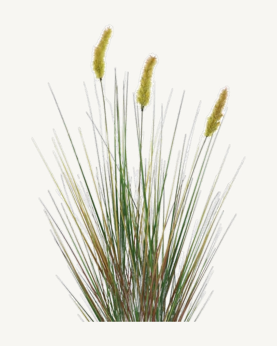 Taormina Artificial Onion Grass, 30.7 in