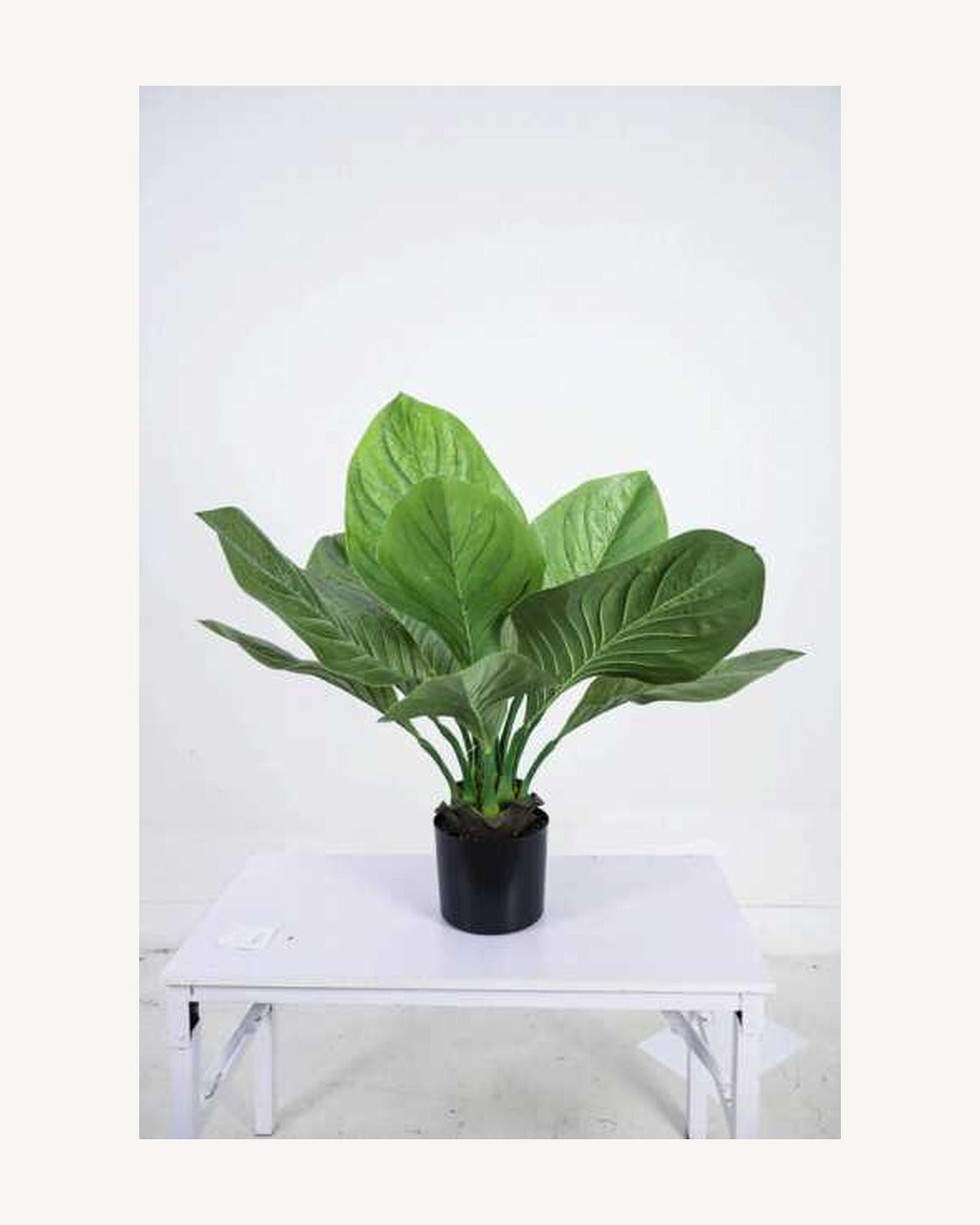 Taormina Artificial Tropical Plant, full product studio view in the included nursery pot