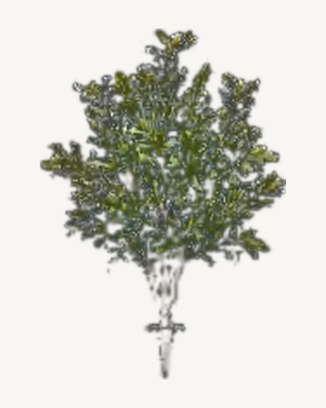 Tarragona Artificial Olive Tree, full product studio view in the included nursery pot
