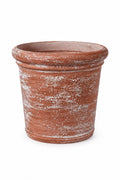 Tonneau Garden Barrel Planter