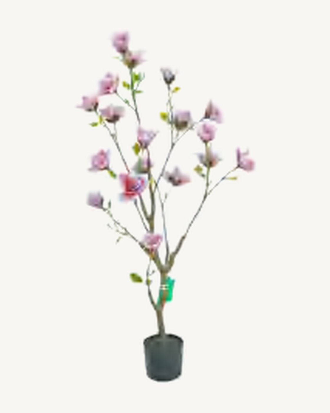 Uzes Artificial Blossom Tree, 61.4 in, full product studio view in the included nursery pot