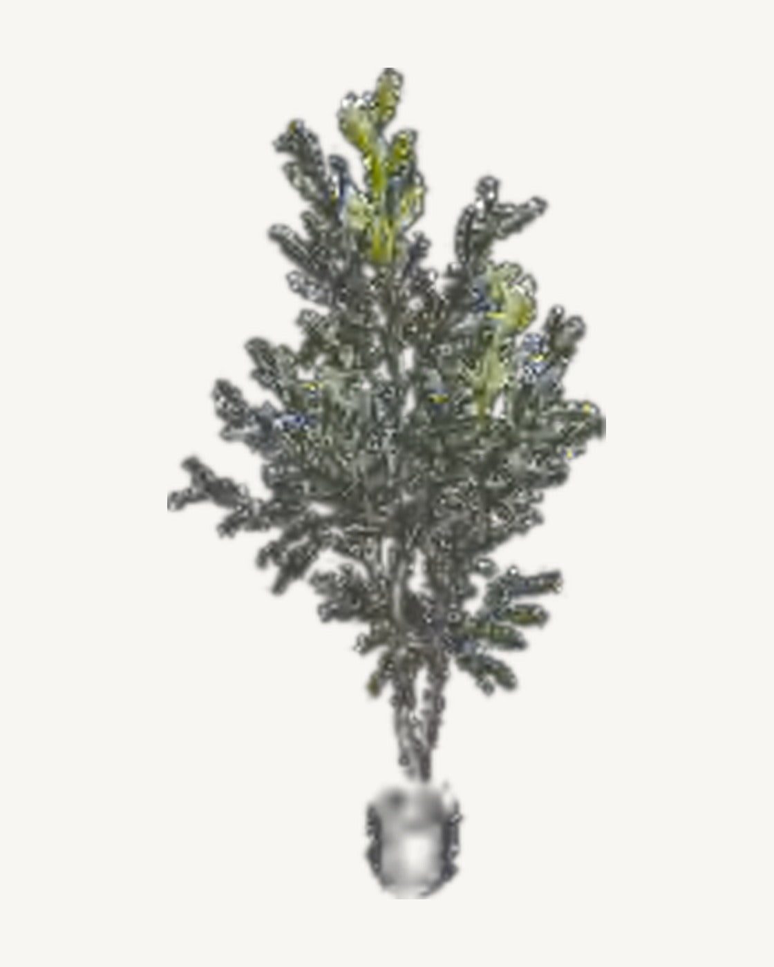 Valbonne Artificial Olive Tree, full product studio view in the included nursery pot