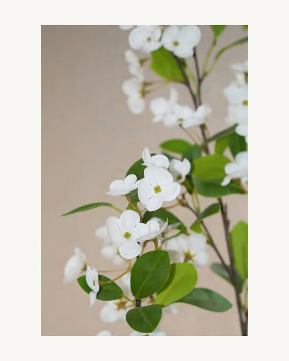 Varenna Artificial Blossom Tree, full product studio view in the included nursery pot