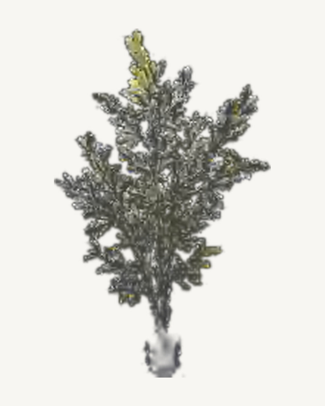 Vence Artificial Olive Tree, full product studio view in the included nursery pot
