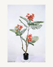 Verona Artificial Royal Poinciana Tree, 47.2 in, full product studio view in the included nursery pot