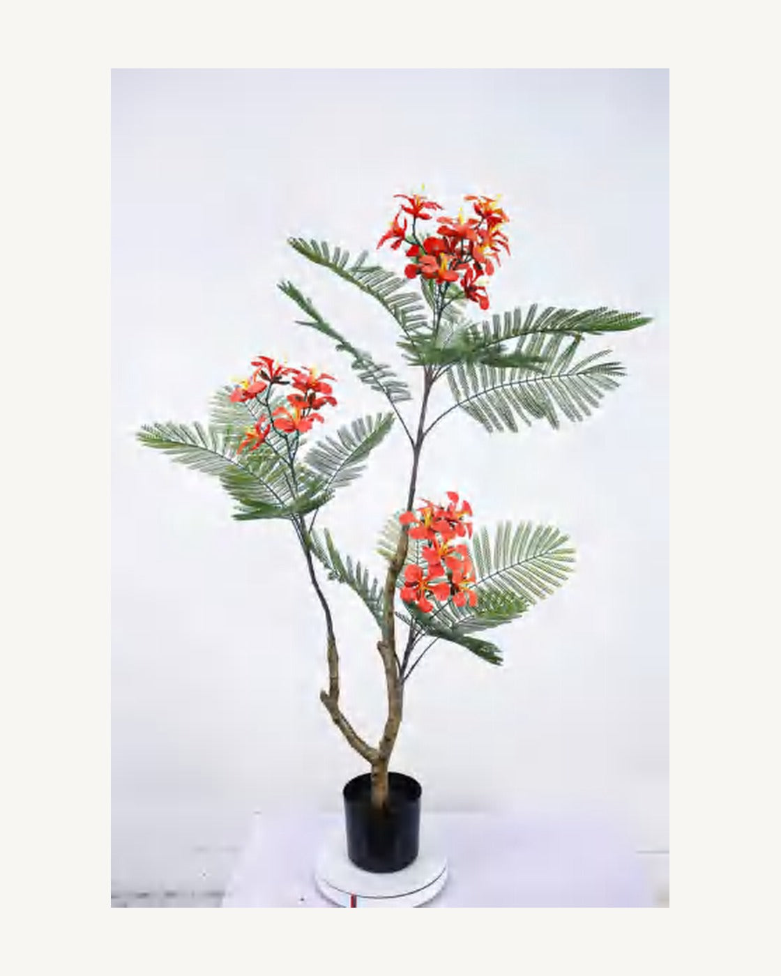 Verona Artificial Royal Poinciana Tree, 47.2 in, full product studio view in the included nursery pot