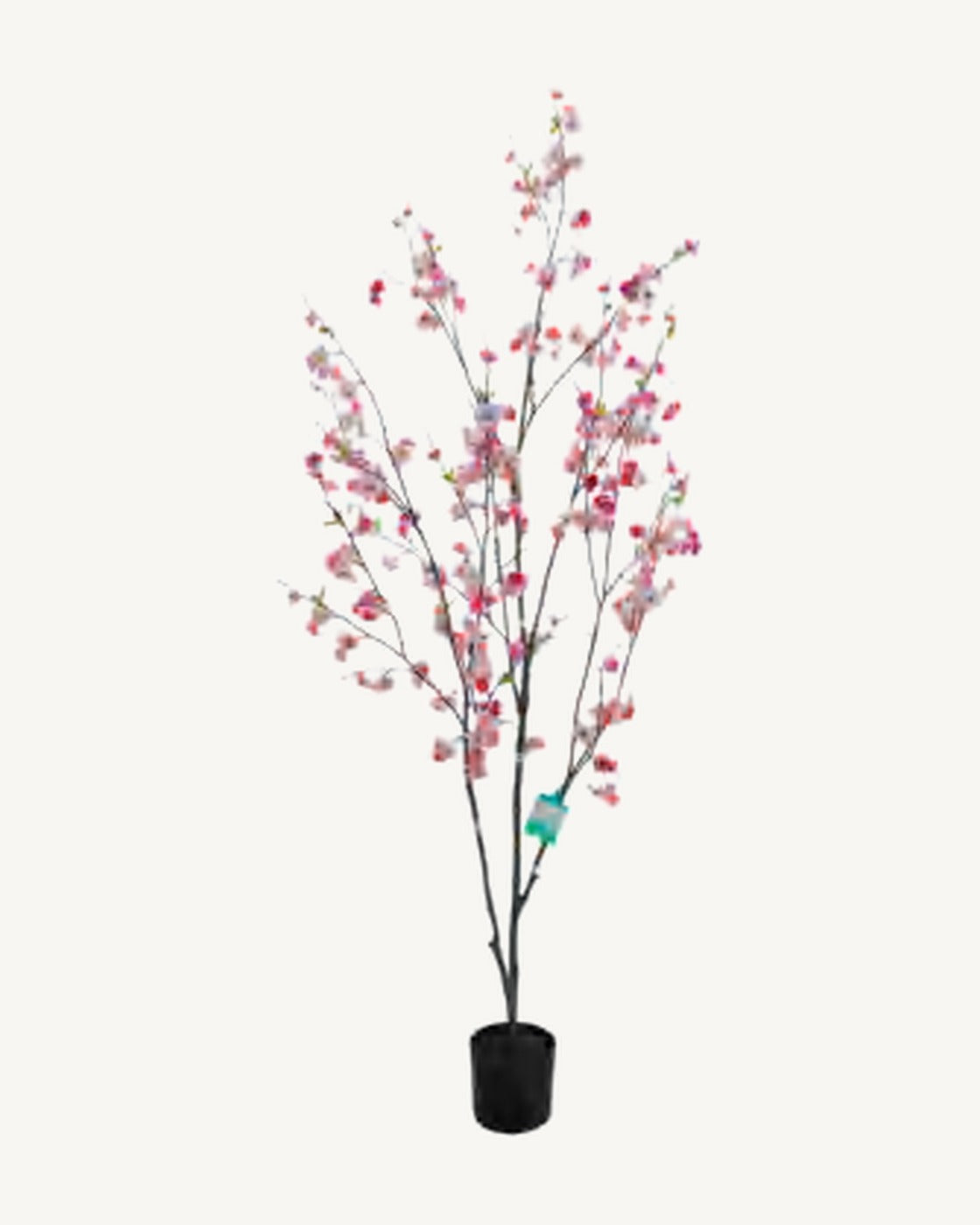 Volterra Artificial Blossom Tree, Pink, full product studio view in the included nursery pot