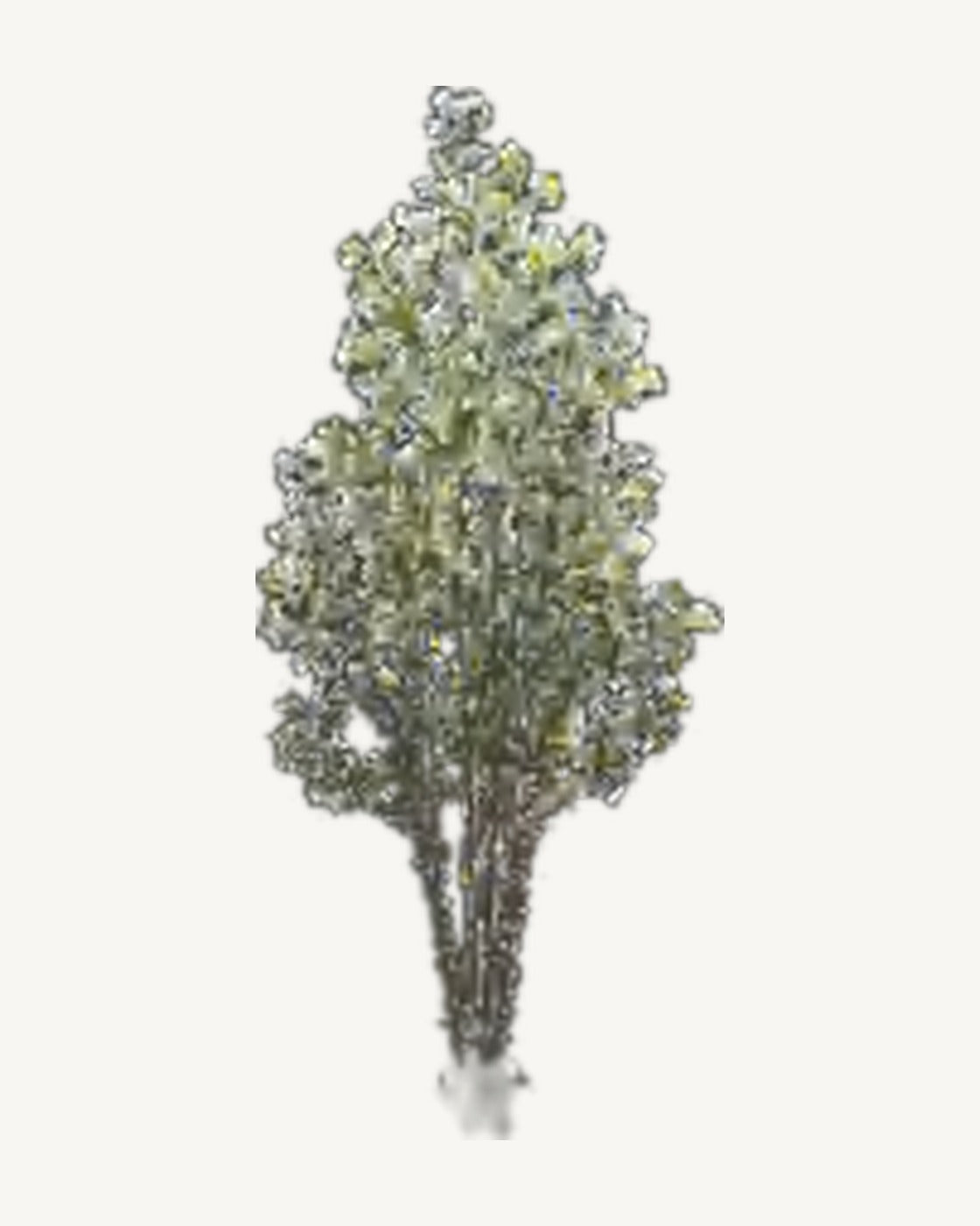 Volterra Artificial Olive Tree, full product studio view in the included nursery pot