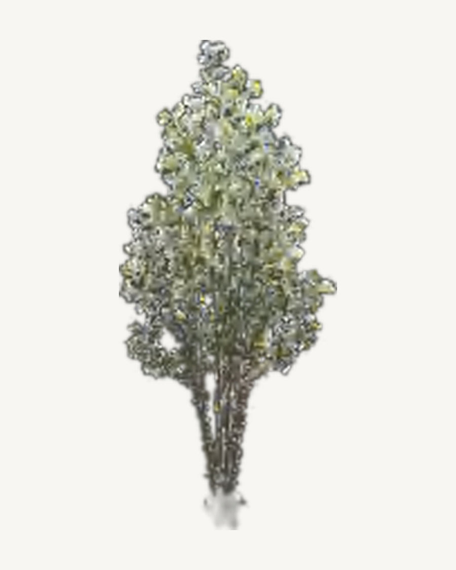 Volterra Artificial Olive Tree, 76.8 in