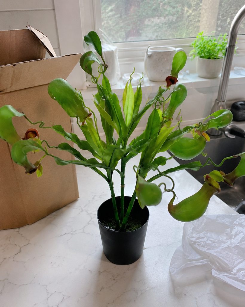 Snake Plant Architectural Faux Plant customer photo