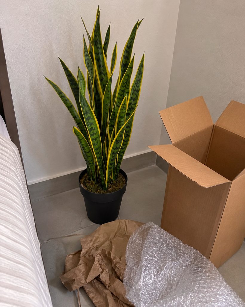 Snake Plant Architectural Faux Plant customer photo