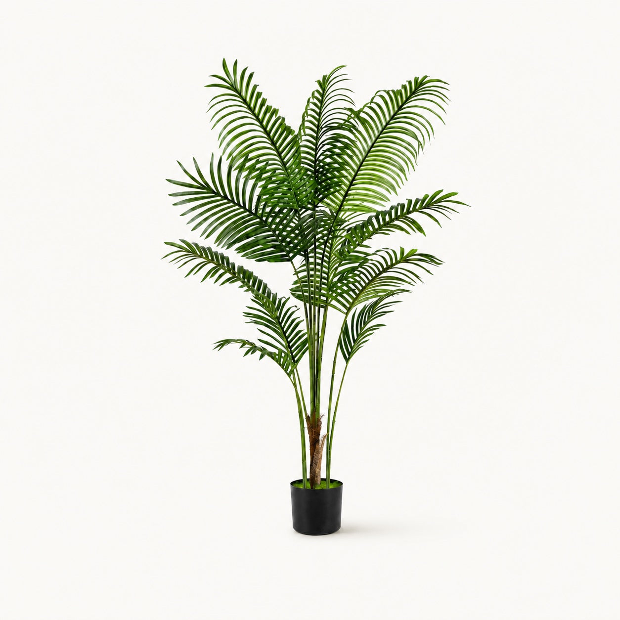 Árbol artificial Areca