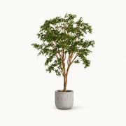 Árbol artificial Baniano XL