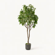 Arbre artificiel Bouleau