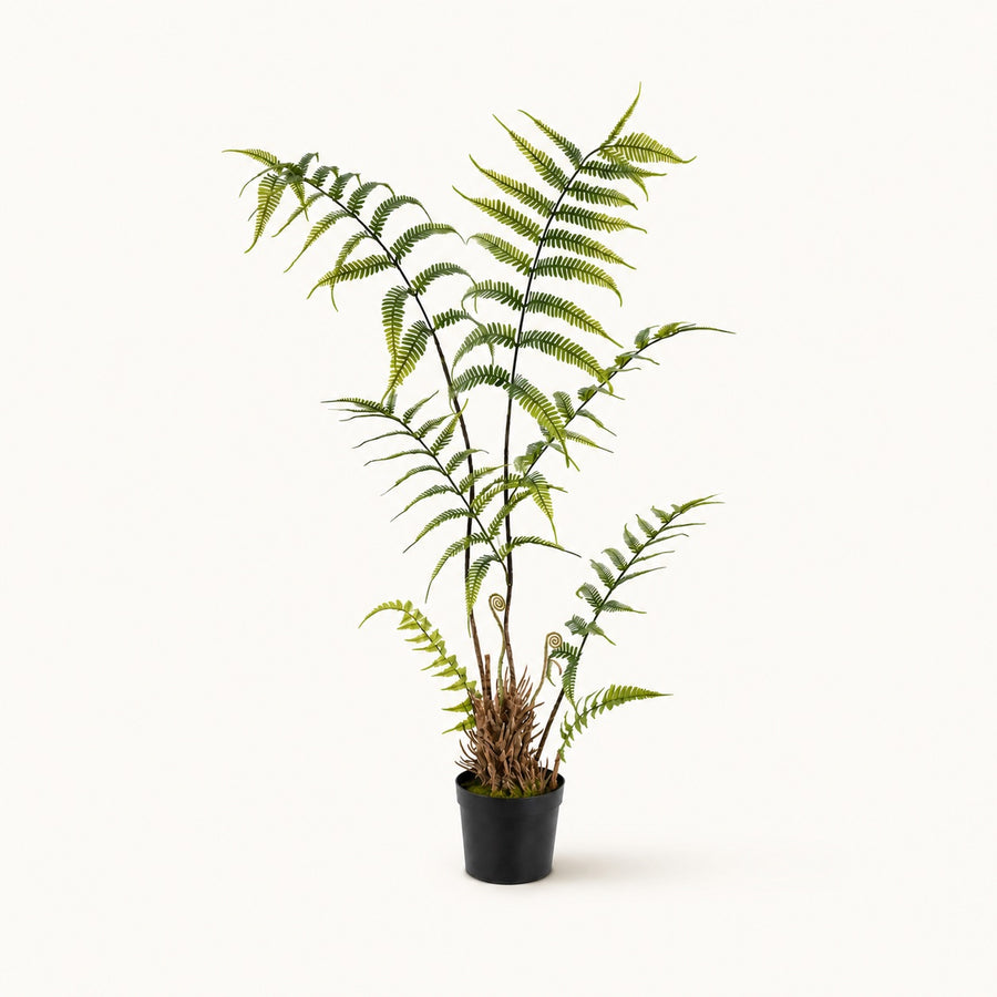 Plante artificielle Nephrolepis