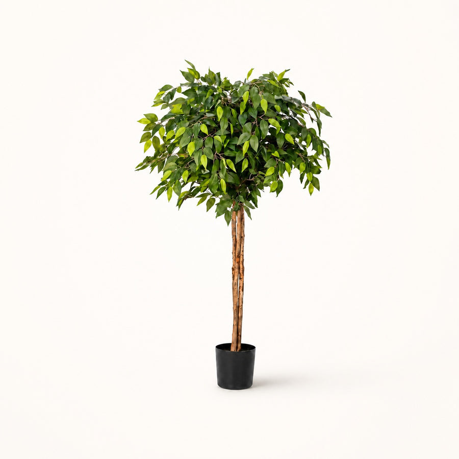 Ficus kunstboom