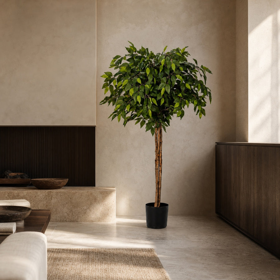 Ficus kunstboom