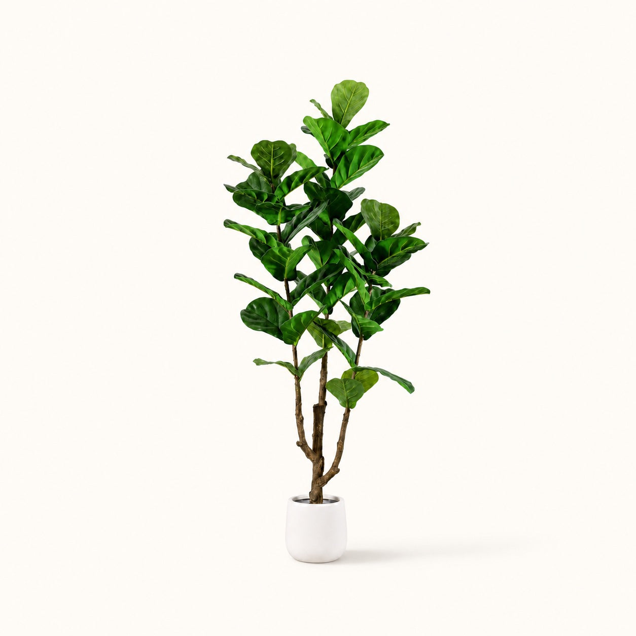 Ficus Lyrata kunstboom