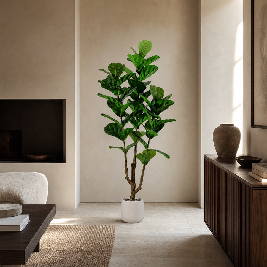 Ficus Lyrata kunstboom