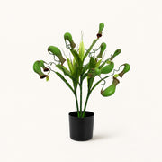 Plante artificielle Népenthès