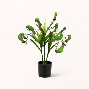 Planta artificial Nepenthes