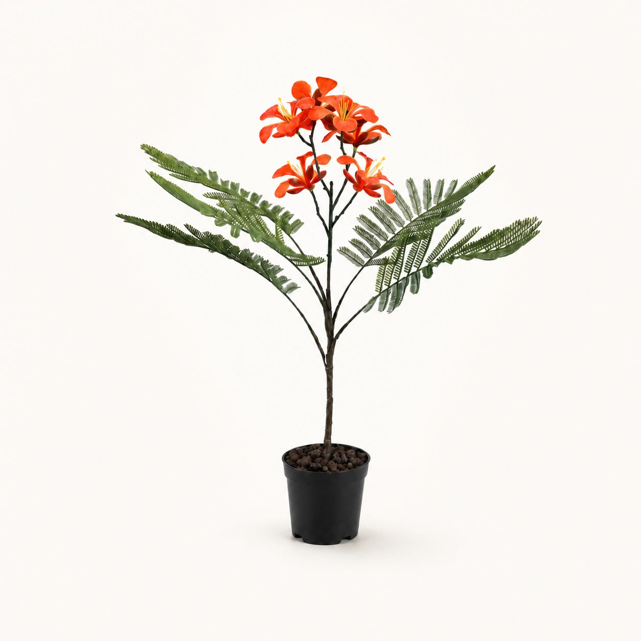 Royal Poinciana kunstboom