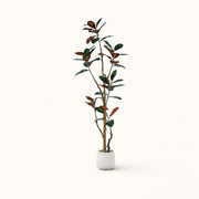 Árbol artificial Ficus Elastica